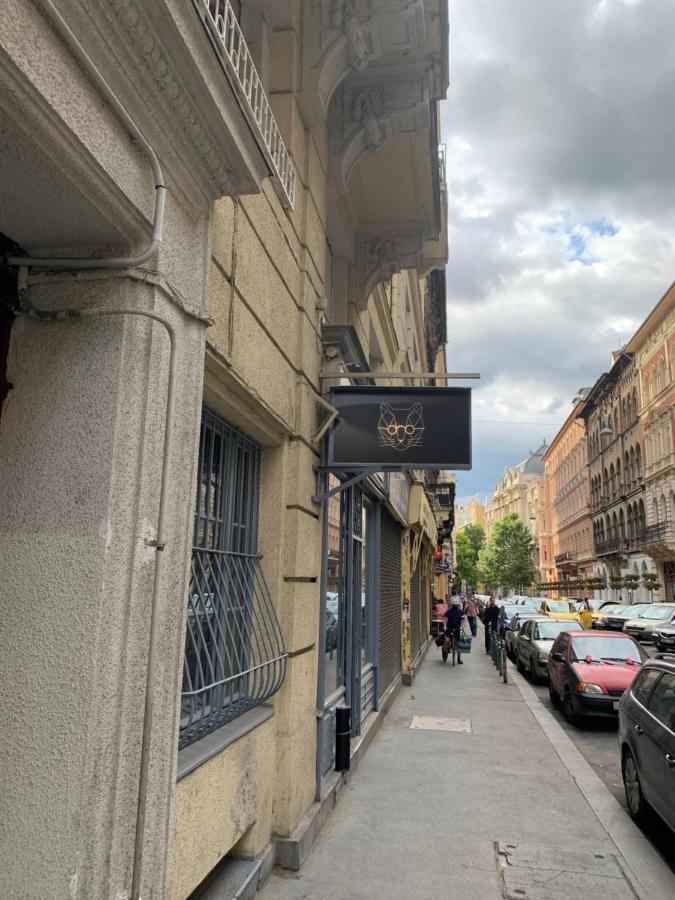 Cool Cat Budapest Apartment Exterior foto